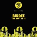 Birdee - The Way It Is Original Mix FDM