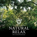 Kenichiro Nishihara - Natural Relax