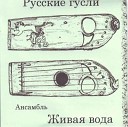 Егор Стрельников ансамбль Живая… - Не для меня казачий…