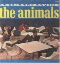 Animals - You Re On My Mind