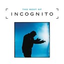 Incognito - 09 Change Bluey remix