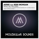 Aeris Feat Jess Morgan - What Do You Feel Re Locate Vs Robert Nickson Banging…