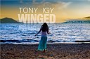 Tony Igy - Winged Esix Chillout Remix