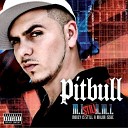 Pitbull - Shake Remix