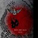 Maya Jane Coles - Take A Ride Feat Miss Kittin Original Mix