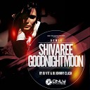 Shivaree - Goodnight Moon Dj V1t Dj Johnny Clash Remix