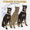 Собаки Качалова - Индейская