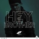 Avicii vs Basto - Hey Brother DJ Oliver Back Nikita Vector…