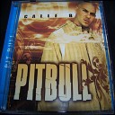 Pitbull ft Lil Jon Mr Vegas Wayne Marshall - Toma