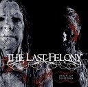 The Last Felony - Self Destruction Process