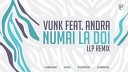 andy - Vunk feat Andra Numai La Doi LLP Remix