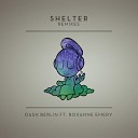 Dash Berlin - Shelter feat Roxanne Emery MaRLo Remix