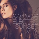 Eugene Nepomiluev - 4 Electric Sunset Vol 19