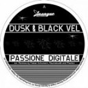 Dusk amp Black Vel - Passione Digitale Raumakustik Remix