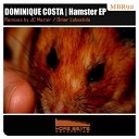 Dominique Costa - Hamster Original Mix