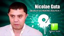 Nicolae Guta Gerard - Ayder
