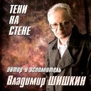 Владимир Шишкин - Тени на стене