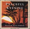 David Steve Gordon - Changing Hues