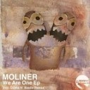 Moliner - We Are One DZeta N Basile Remix