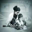 Skylar Grey - Invisible (Kaskade Remix)