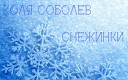 Коля Соболев - Снежинки 2014