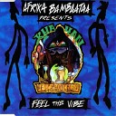 AFRIKA BAMBAATAA - Feel The Vibe Vibe Instrumental Mix