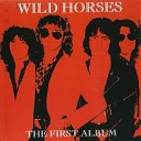 Wild Horses - Flyaway