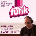 Deep Josh Ft Soulfeenix - Love Hurts