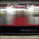 The Cat House Dogs - Lost Again