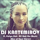Dj Kantemirov ft Katya Slok - All That She Wants Ace of Base Cover
