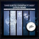 David Guetta Showtek feat V - Bad Citrus Remix