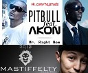 Pitbull Mastiffelty Akon - Mr Right now 3 Рагга