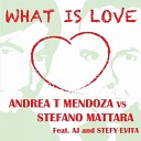 Andrea T Mendoza Stefano Matt - What Is Love feat Aj Stefy E