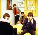 Troggs - Push It Up To Me