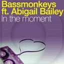 Bassmonkeys feat Abigail Bailey - In The Moment feat Abigail Bailey Jamie Wamie Remix…