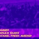 Baauer - Harlem Shake DJ Michael FRESH Mashup