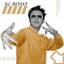 Arash Shaggy - Donya Dj Haycat Remix