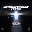 Wellenrausch - Sanctified Trilucid Remix
