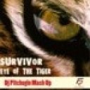 Survivor - Eye Of The Tiger Dj Pitchugin Mash Up