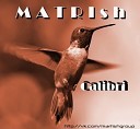 MARTIsh - Calibri Dub Step 2013
