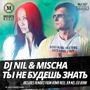 Dj Nil feat Mischa - Ты не будешь знать Imany Cover Mix Ural Djs Dj Grewcew…