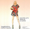 Mixed by dj Guran - Electro Leto 2011