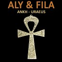 Aly and Fila pres A F Project - Breath of life Original Mix