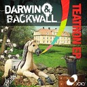 Darwin Backwall - Bob omb Original Mix