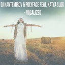 DJ Kantemirov Polyface feat Katya Slok - Vocalized Original Mix