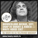 Wonderland Avenue Spit Snap vs Donati Amato - White Horse Cult DJ Baur vs DJ Nejtrino…