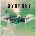 Synergy - The Mountains Original Mix