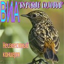 ВИА Курские соловьи - дешевка