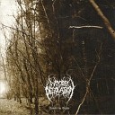 Woods Of Desolation - A Time Of Eternal Darkness