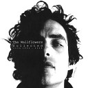 The Wallflowers - One Headlight half acoustic full band